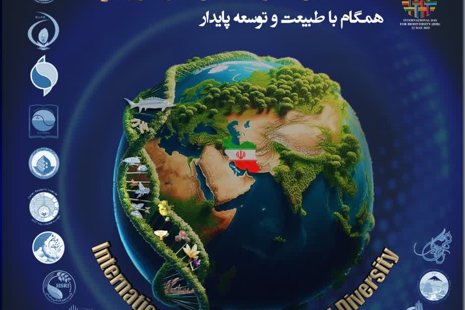 تازه های خبر
