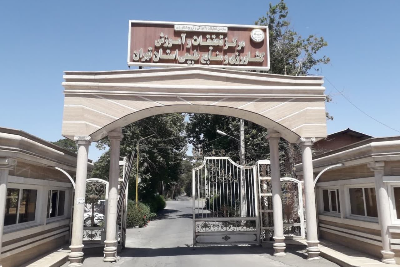 معرفی مرکز