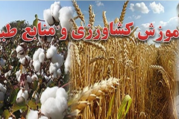 معرفی مرکز