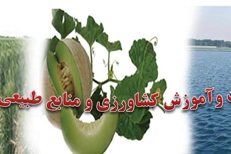معرفی مرکز