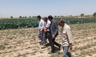 برگزاری روز مزرعه با موضوع: ترویج کشت کم‌آب در ورامین؛ آنغوزه و زیره سبز