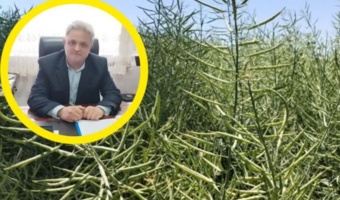 تغذیه تلفیقی گیاه؛ راهکاری عملیاتی برای غلبه بر تنش خشکی در مزارع تهران