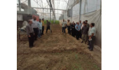 برگزاری اولین جلسه از سایت الگویی گلخانه شهرستان ری
