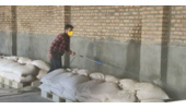 سمپاشی انبار بذر غلات مرکز (مرحله سوم)