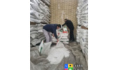 گزارش بازرسی پایش محصولات کودی شهرستان ری