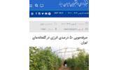 مصاحبه مهندس کریم عرب سلمانی، عضو هیات علمی مرکز با خبرگزاری ایسنا/ امروز با عنوان (صرفه‌جویی ۵۰ درصدی انرژی در گلخانه‌های تهران )
