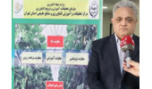 ورامین خط مقدم پژوهش‌های کاربردی کشاورزی و تأمین امنیت غذایی