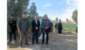 برگزاری روز مزرعه با عنوان تغذیه و مبارزه با علف هرز کلزا