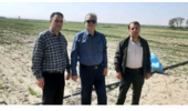 بازدید دکتر محسن سیلسپور، رئیس مرکز از پروژه هایPNT ( پروژه های طرح تحقیقاتی مشارکتی تغذیه گیاه گندم در ایستگاه تحقیقاتی خاوه )