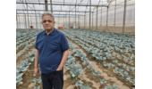 بازدید از گلخانه کلم بروکلی مستقر در مرکز
