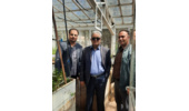 بازدید دکتر محسن سیلسپور، رئیس مرکز از گلخانه گیاهان دارویی هنرستان مرکز