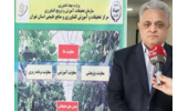 ایجاد مزارع الگویی در استان تهران با هدف انتقال دانش فنی، ارتقای بهره‌وری و افزایش تولید آغاز شد.