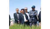 بازدید از مزرعه بهره ور آقای بوربور در معیت معاون محترم وزیر