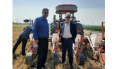 کشت ذرت علوفه ای بدون خاکورزی در بقایای قصیل جو