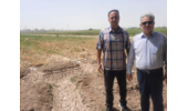 بازدید دکتر سیلسپور، رئیس محترم مرکز از ایستگاه تحقیقات کشاورزی مرکزی