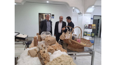 بازدید فرماندار ویژه شهرستان ورامین از مرکز تحقیقات و آموزش کشاورزی و منابع طبیعی استان تهران