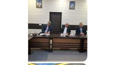 پسته؛ محصول کم‌آب و پربازده در مقابله با تنش خشکی در استان تهران