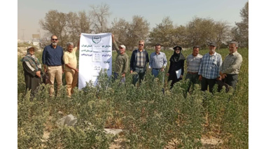 برگزاری روز مزرعه کینوا در شهر قدس