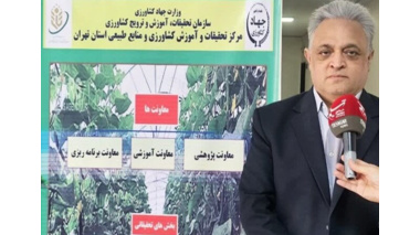 ورامین خط مقدم پژوهش‌های کاربردی کشاورزی و تأمین امنیت غذایی