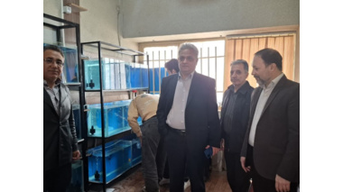 تجهیز و راه اندازی کارگاه پرورش و تکثیر ماهیان زینتی هنرستان کشاورزی مستقر در مرکز