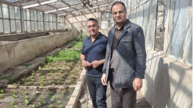 رسیدگی مستمر و روزانه به مزارع و گلخانه های هنرستان کشاورزی مستقر در مرکز