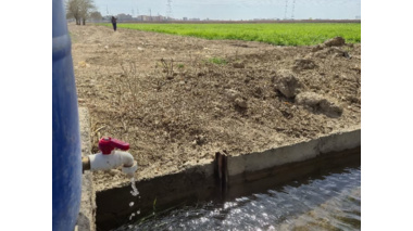 آغاز کودآبیاری مزارع گندم و جو در ایستگاه مرکزی تحقیقات کشاورزی استان تهران