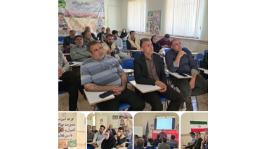 برگزاری کارگاه آموزشی مدیریت آفات گندم مدیریت بهنگام برای کنترل و مبارزه با سن گندم