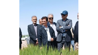 بازدید از مزرعه بهره ور آقای بوربور در معیت معاون محترم وزیر