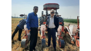 کشت ذرت علوفه ای بدون خاکورزی در بقایای قصیل جو
