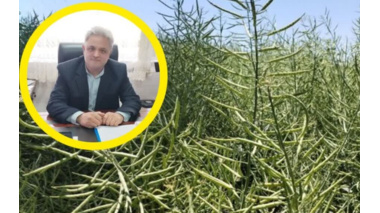 تغذیه تلفیقی گیاه؛ راهکاری عملیاتی برای غلبه بر تنش خشکی در مزارع تهران
