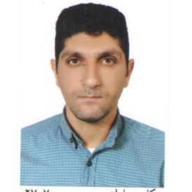 سید حسین ضامنی ناصر آباد