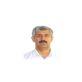 ولی اله بنی عامری